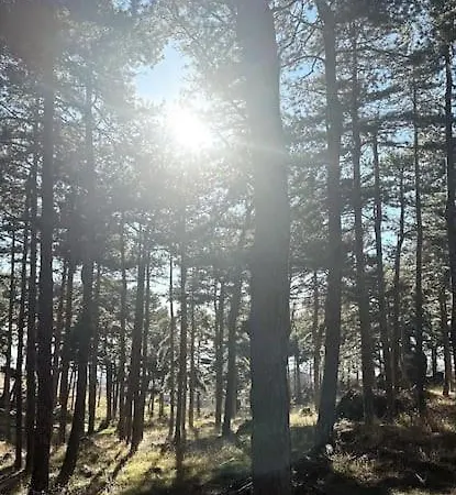 Stylish Two Bedroom Family *